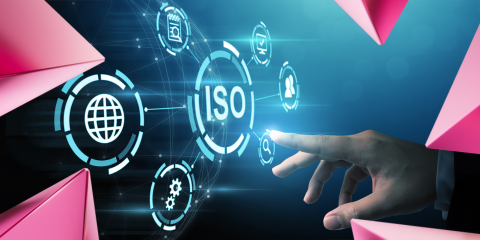 WHAT ARE STANDARDS visual data 6